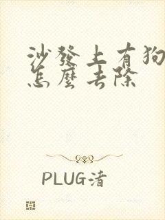 沙发上有狗尿味怎么去除封面