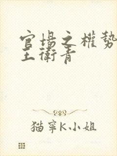 官场之权势滔天王卫青封面