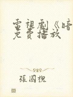 电视剧《暗警》免费播放