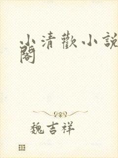 小清欢小说笔趣阁