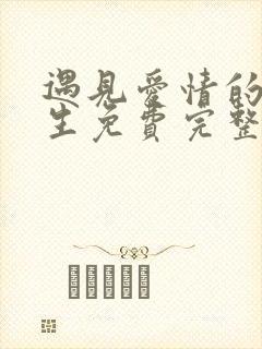 遇见爱情的利先生免费完整版封面