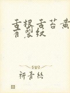 舌根舌苔黄厚腻有裂纹