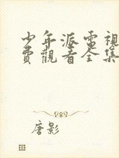 少年派电视剧免费观看全集在线播放