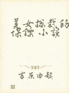 美女总裁的神级保镖 小说