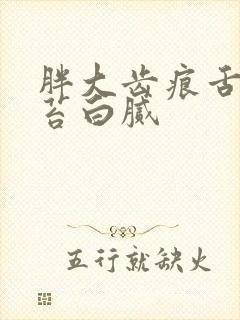 胖大齿痕舌 舌苔白腻封面