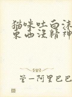 猫咪吐白沫不吃东西没精神怎么办