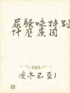 尿骚味特别大是什么原因