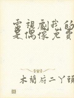 电视剧我的继父是偶像免费观看