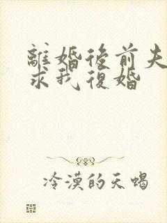 离婚后前夫哭着求我复婚