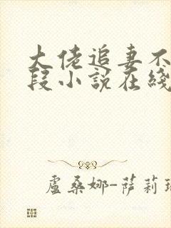 大佬追妻不择手段小说在线