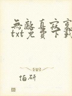 无敌真寂寞小说txt免费下载