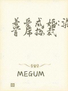 惹爱成婚:染指首席总裁