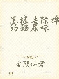 怎样去除棉被上的猫尿味