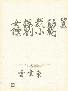 女总裁的嚣张保镖刘小飞