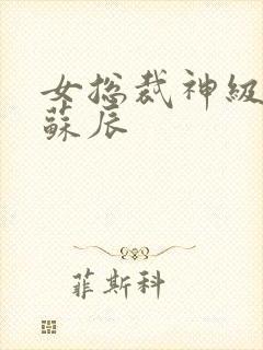 女总裁神级保镖苏辰