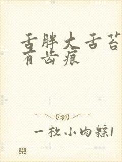 舌胖大舌苔厚黄有齿痕