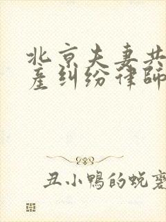 北京夫妻共有房产纠纷律师哪家好