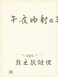 午夜内射a毛片