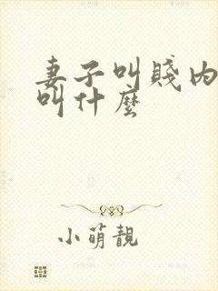 妻子叫贱内丈夫叫什么