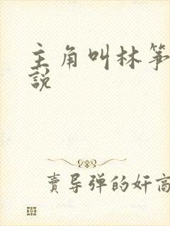 主角叫林筝的小说