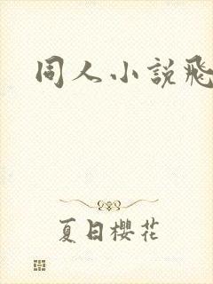 同人小说飞卢