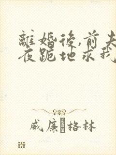 离婚后,前夫雨夜跪地求我复婚