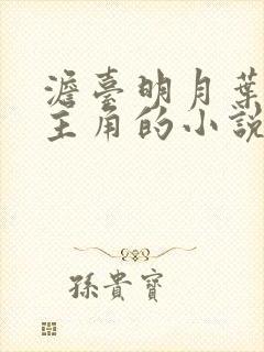 澹台明月叶玄为主角的小说