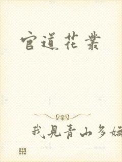 官道花丛封面