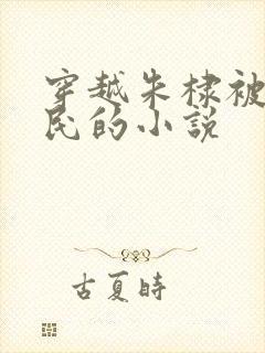 穿越朱棣被贬农民的小说