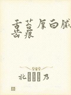 舌苔厚白腻 有齿痕