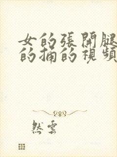 女的张开腿让男的捅的视频封面