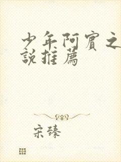 少年阿宾之类小说推荐