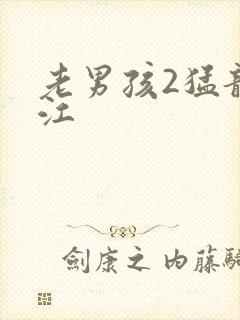 老男孩2猛龙过江封面
