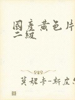 国产黄色片一级二级