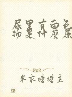 尿里有白色沉淀物是什么原因封面