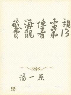 藏海传电视剧免费观看第13集高清封面