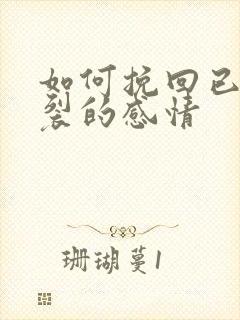 如何挽回已经破裂的感情