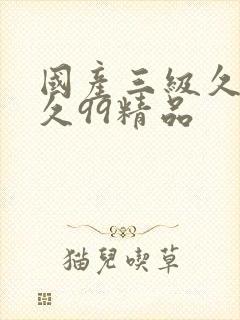 国产三级久久久久99精品