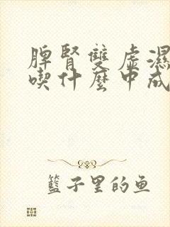 脾肾双虚湿气重吃什么中成药封面