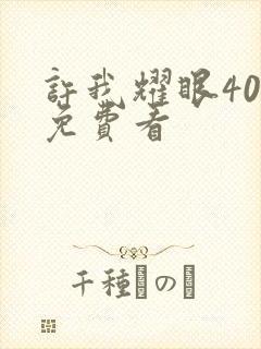 许我耀眼40集免费看封面