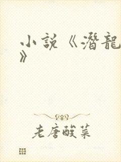 小说《潜龙出渊》