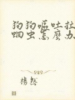 狗狗呕吐拉稀带蛔虫怎么办