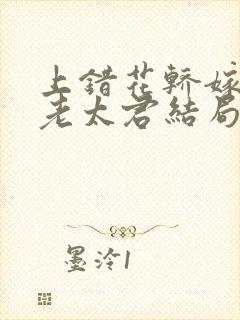 上错花轿嫁对郎老太君结局