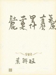 肚子里有气老放屁是什么原因