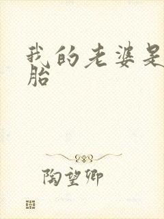 我的老婆是双胞胎