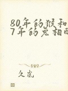 80年的猴和87年的兔相配吗封面