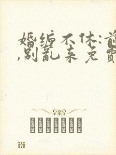 婚缠不休:前夫,别乱来免费阅读