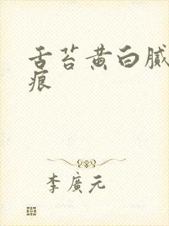 舌苔黄白腻有齿痕