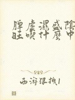 脾虚湿盛阴虚火旺吃什么中成药