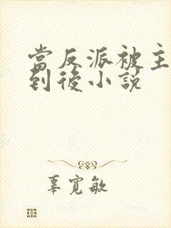 当反派被主角抓到后小说